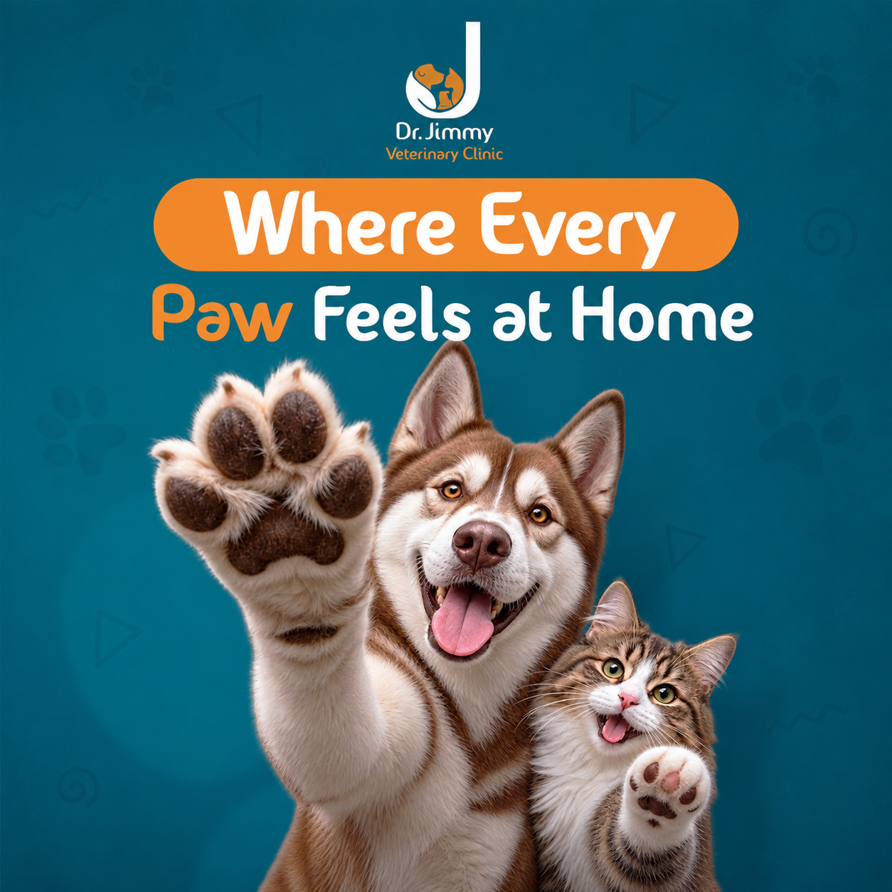 Pet vaccination, grooming and treatment at Dr. Jimmy Pet Clinic