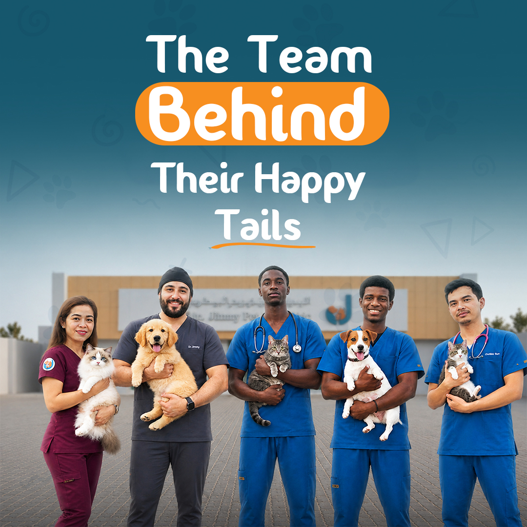 Veterinary services and pet care at Dr. Jimmy Pet Clinic, Ras Al Khaimah