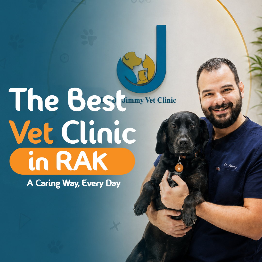 Dr. Jimmy holding a dog at Dr. Jimmy Vet Clinic, the best vet clinic in Ras Al Khaimah